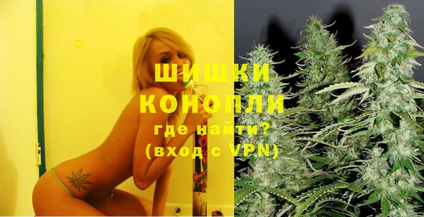 ГАЛЛЮЦИНОГЕННЫЕ ГРИБЫ Алексеевка