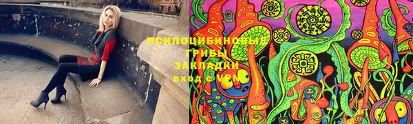 2c-b Алексин