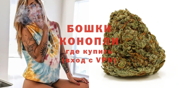 гидра Приозерск