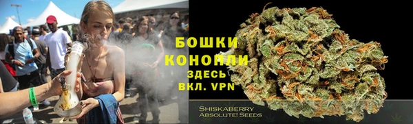ешки Алзамай