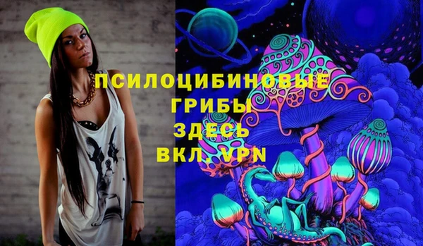 ешки Алзамай